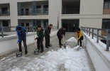 校园扫雪行动